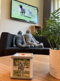 Billede af en teknologi, som ved at dreje en mellemstor terning, kan skifte stemningsvideoer og billeder let og hurtigt. Fx forskellige dyr som fx får, der vises på billedet.